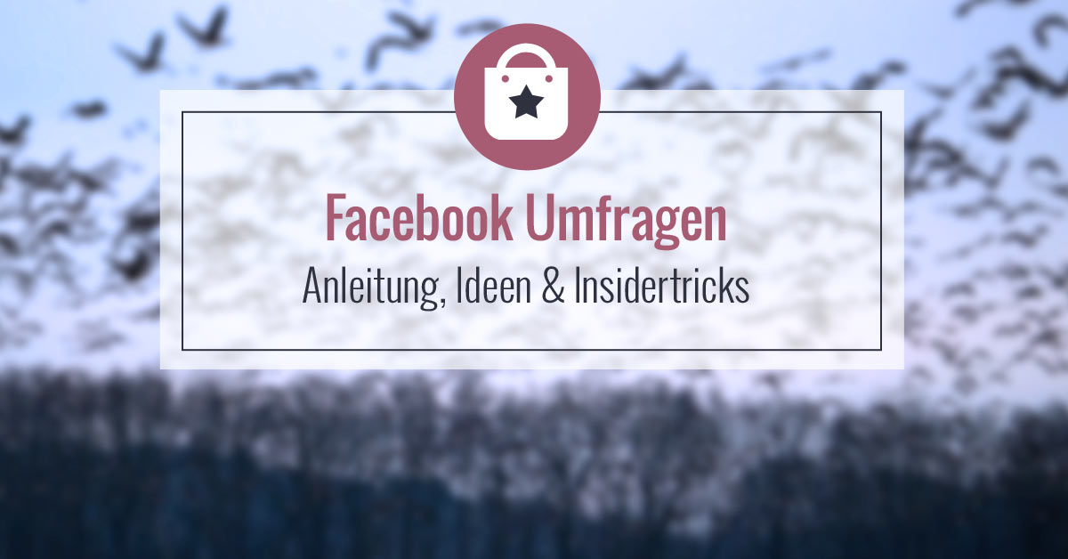 facebook umfragen so gehts