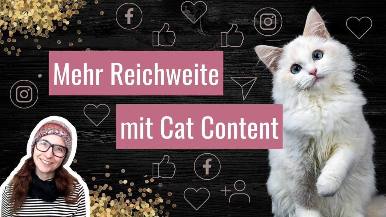 cat content fuer mehr reichweite auf facebook und instagram