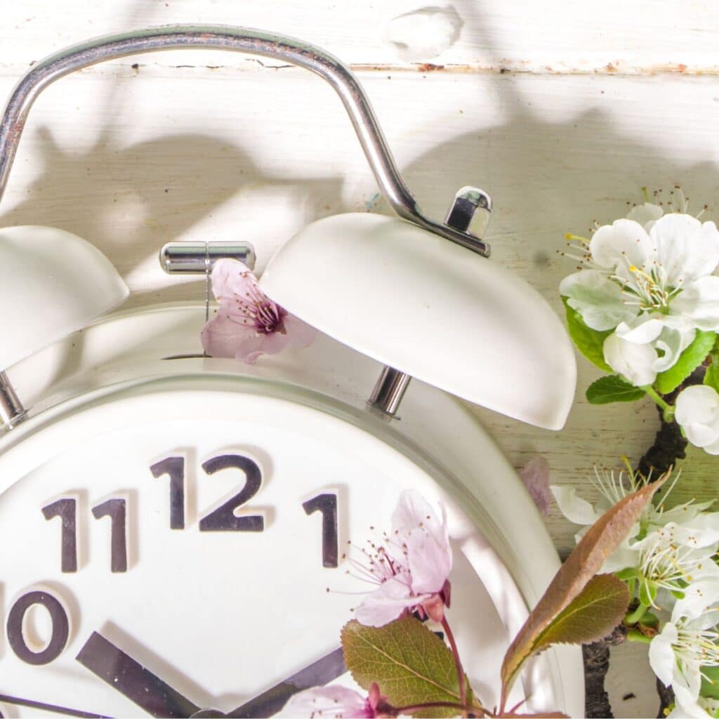 Challenge SocialMedia Routine 1640 × 856 px 1500 × 1500 px 26