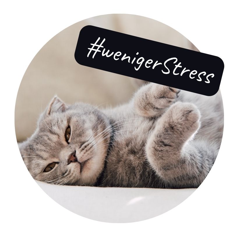 Landing Page Marketing Buffet 5